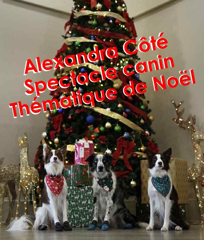 Un Bizou Pour Noël